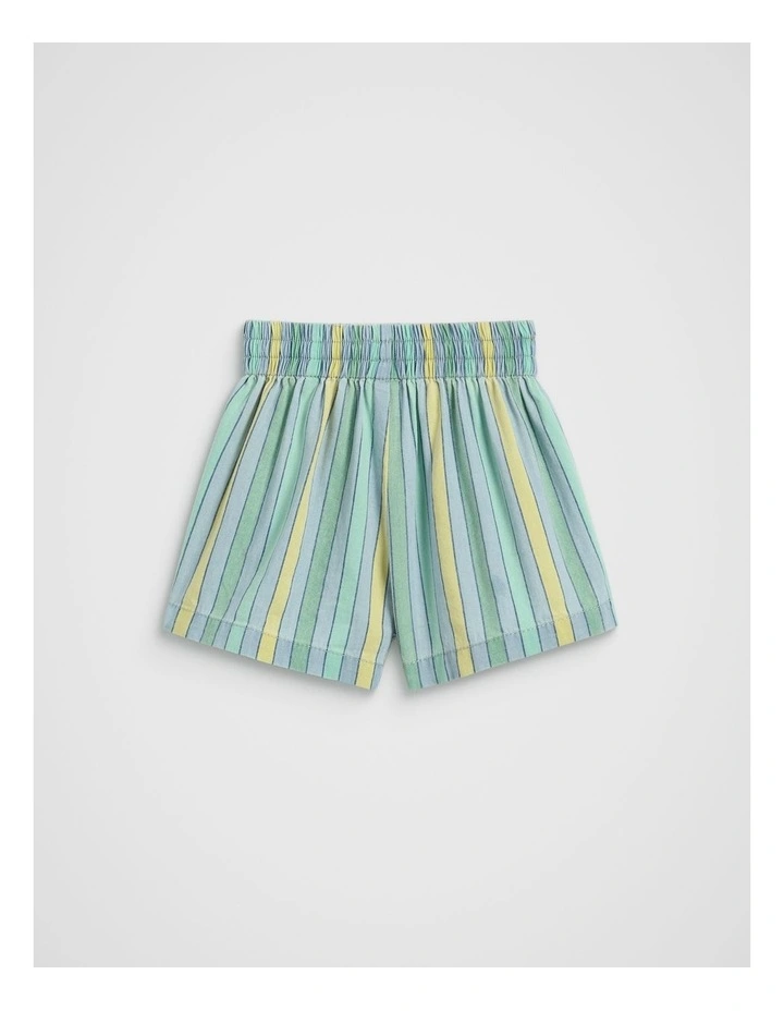 Chambray Stripe Short in Multi image 2