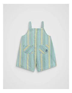 Chambray Stripe Overall in Multi