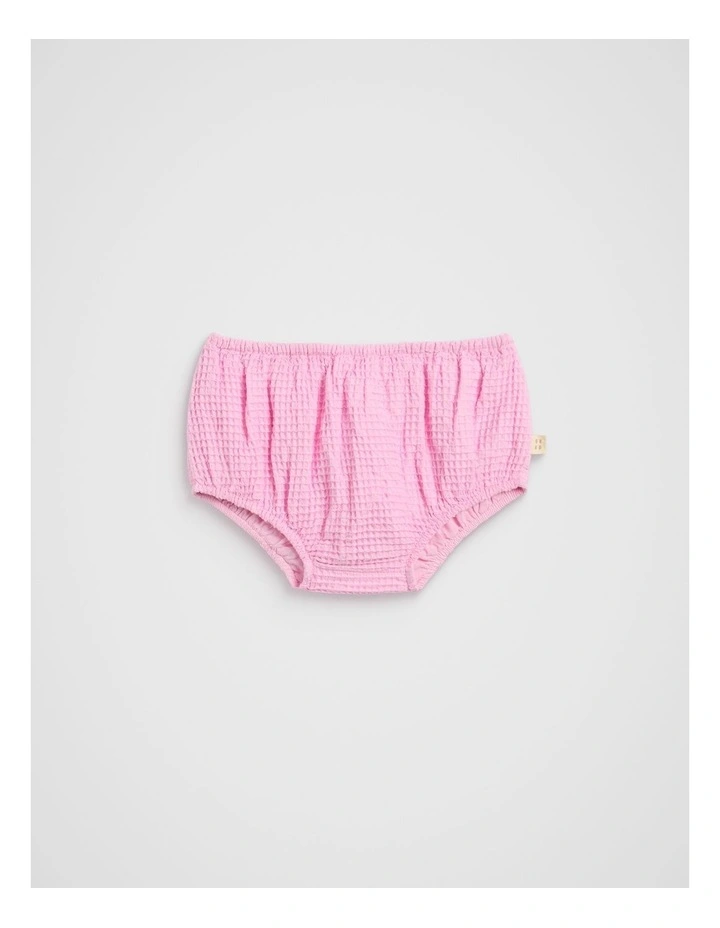 Waffle Bloomer in Blossom image 1