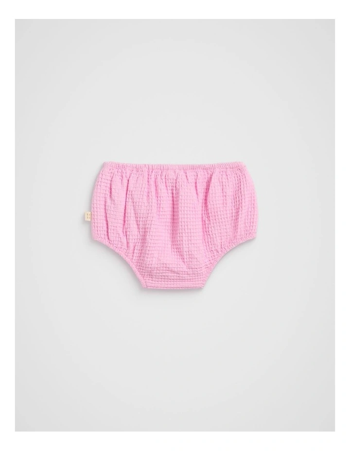 Waffle Bloomer in Blossom image 2