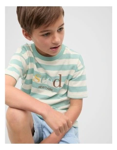 Colourblock Stripe Logo Tee in Mint