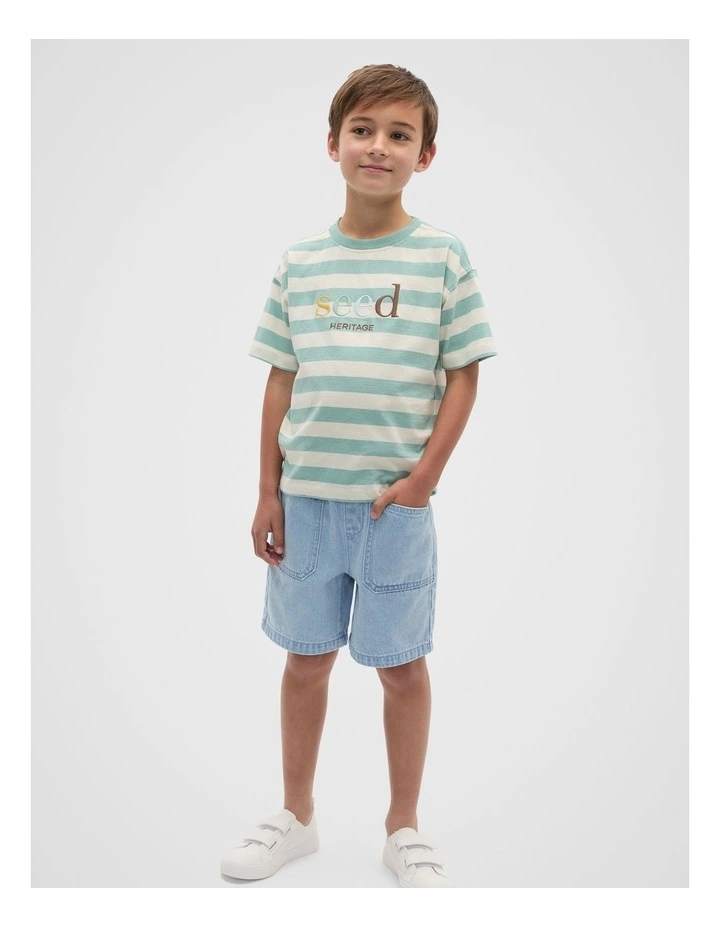 Colourblock Stripe Logo Tee in Mint image 3