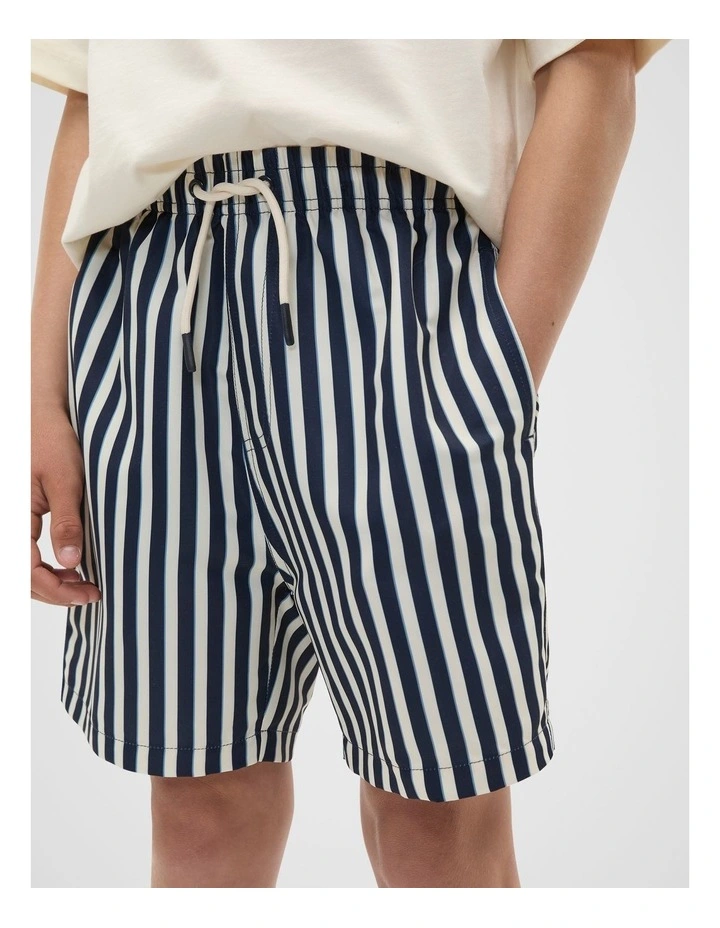 Stripe Boardshort in Midnight Blue image 4