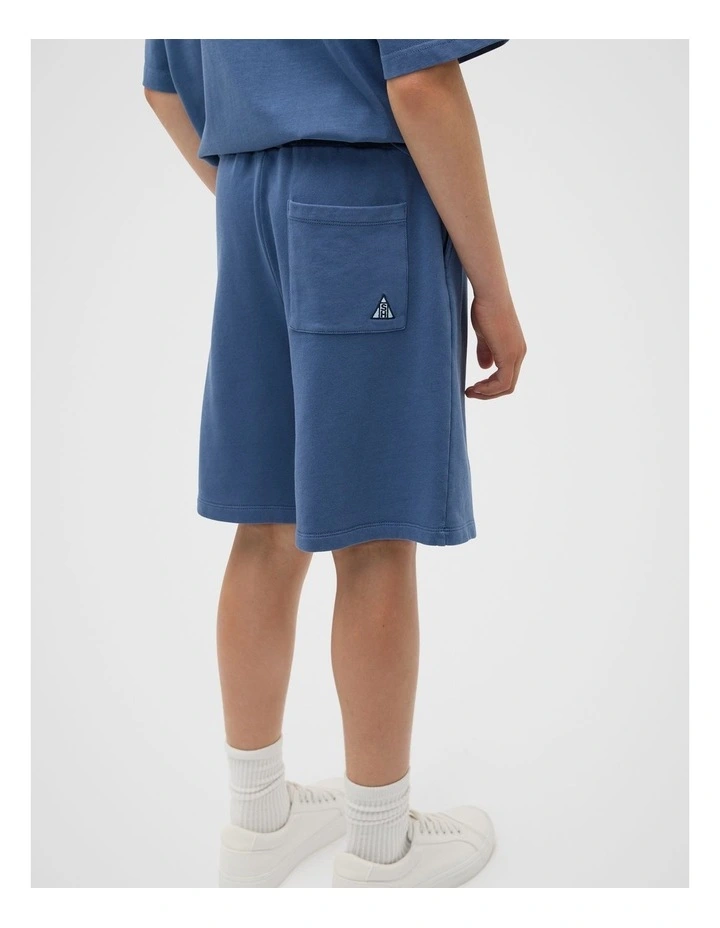 Long Line Track Shorts in Blue image 2