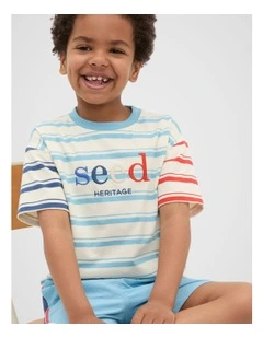 Variegated Stripe Logo Tee in Multi Stripe