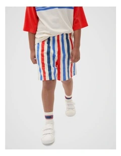 Bold Stripe Short in Multi Stripe