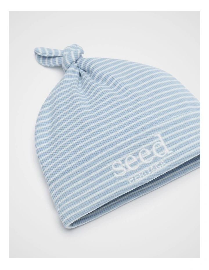 Core Rib Logo Hat in Blue Stripe image 2