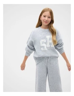 Logo Knit Sweater in Grey