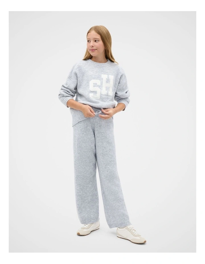 Logo Knit Sweater in Grey image 3