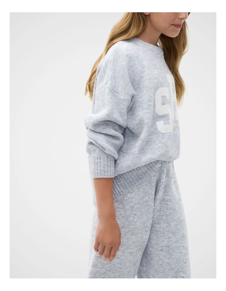 Logo Knit Sweater in Grey image 4