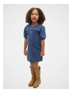 Collar Denim Dress in Indigo