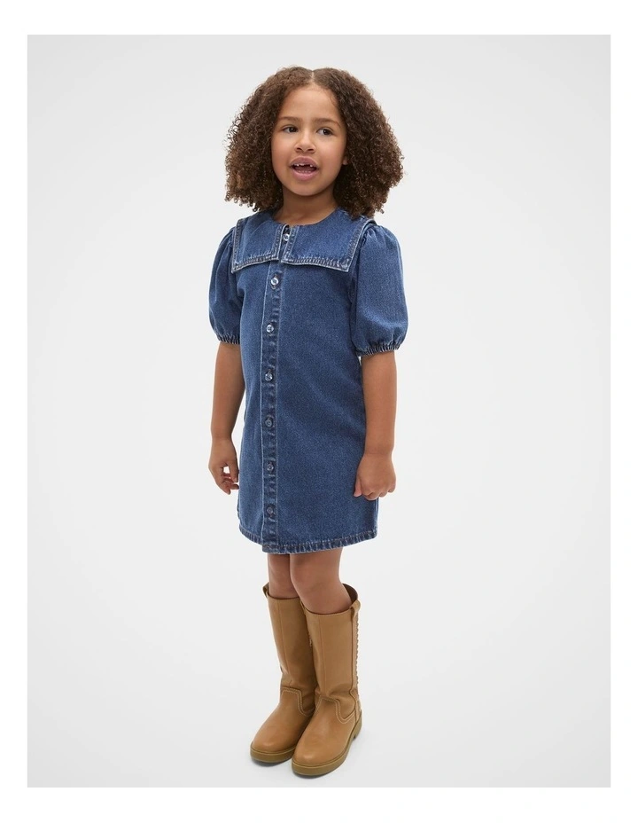 Collar Denim Dress in Indigo image 1