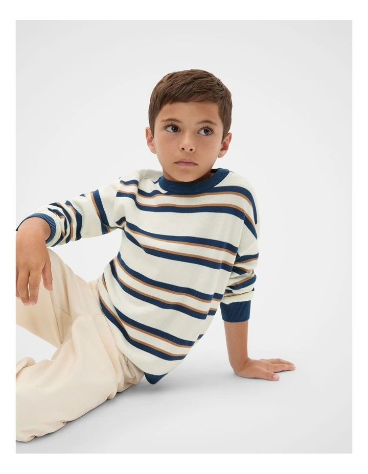 Stripe Crew Knit in Multi image 1
