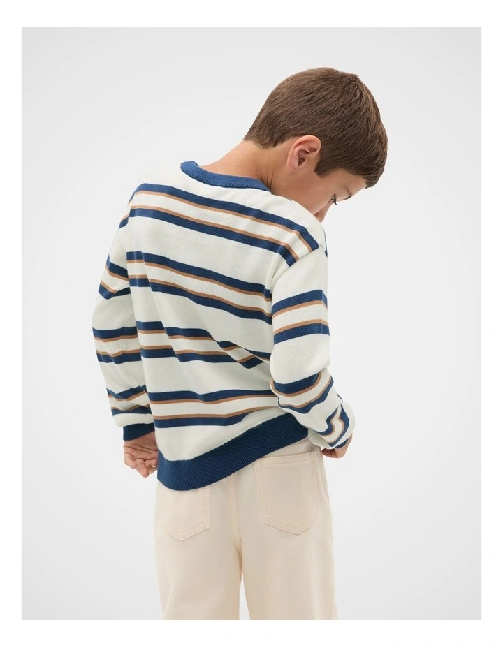 Stripe Crew Knit in Multi image 2
