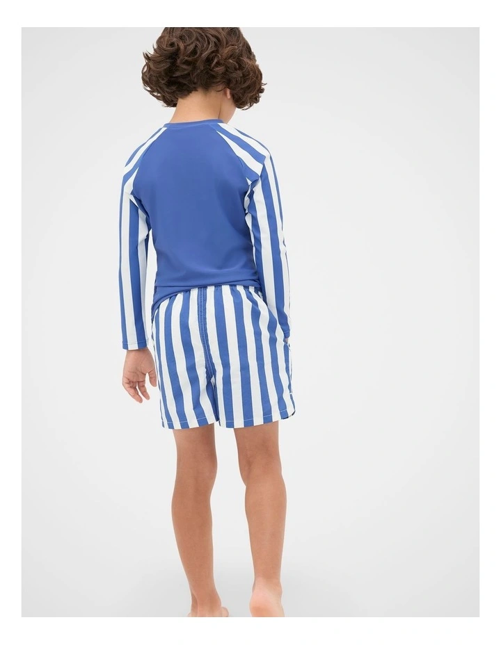 Stripe Boardshort in Retro Blue image 2