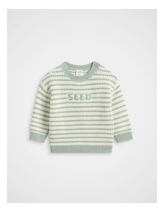 Logo Stripe Knit in Sage Stripe