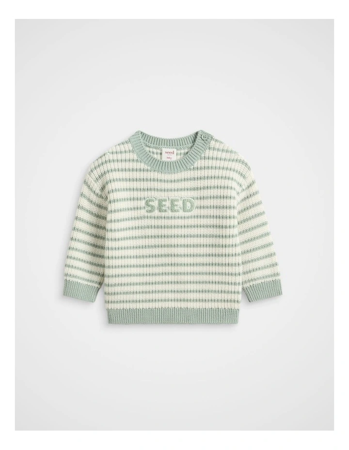 Logo Stripe Knit in Sage Stripe image 1