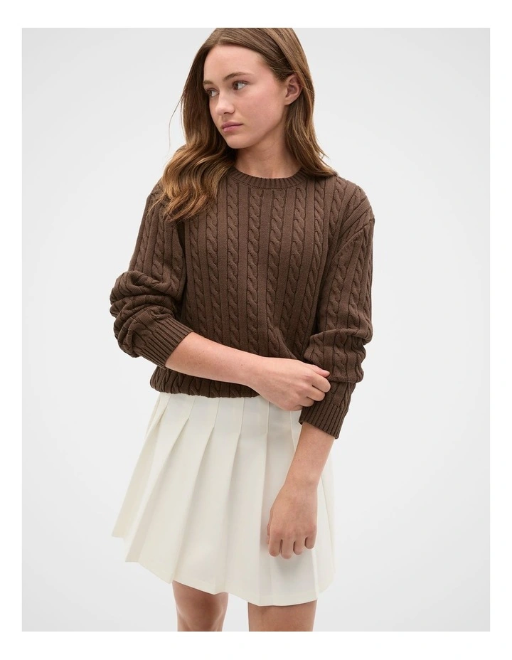 Relaxed Cable Knit Sweater in Chocolate image 1