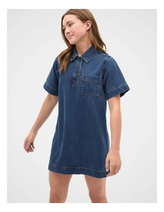 Collar Denim Dress in Ink Wash