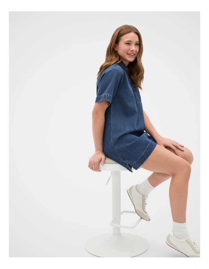 Collar Denim Dress in Ink Wash image 3