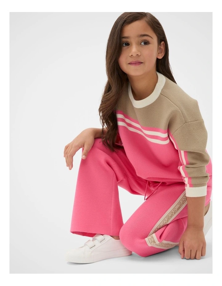 MD Side Stripe Knit Pant in Bubblegum Pink image 3