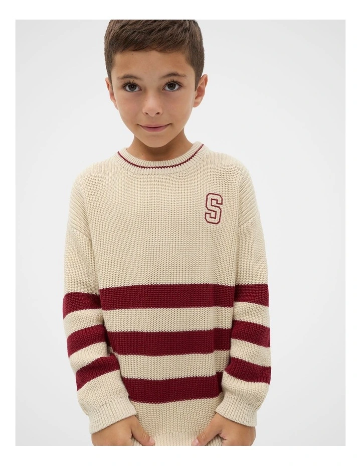 Sports Knit Sweater in Moonstone image 1