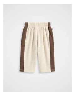 Side Stripe Track Pant in Multi