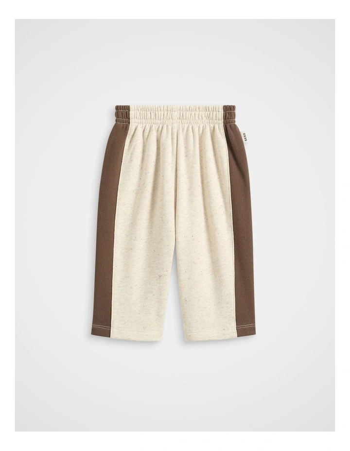 Side Stripe Track Pant in Multi image 1