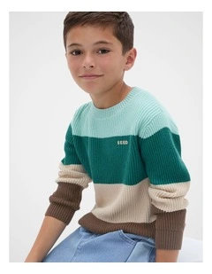 Stripe Crew Knit Sweater in Multi