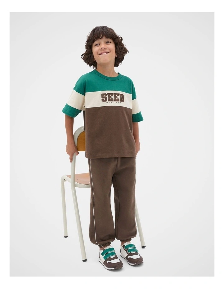 Colourblock  Logo Tee in Cacao image 3