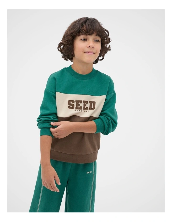 Colourblock Logo Sweat in Jungle Green image 1