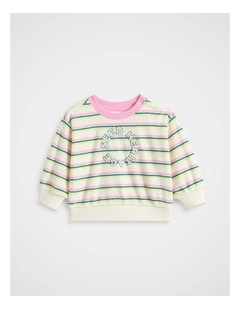 Stripe Toweling Sweat in Multi