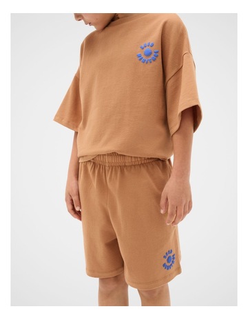 Nutmeg colour