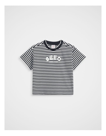 Midnight Blue Stripe colour