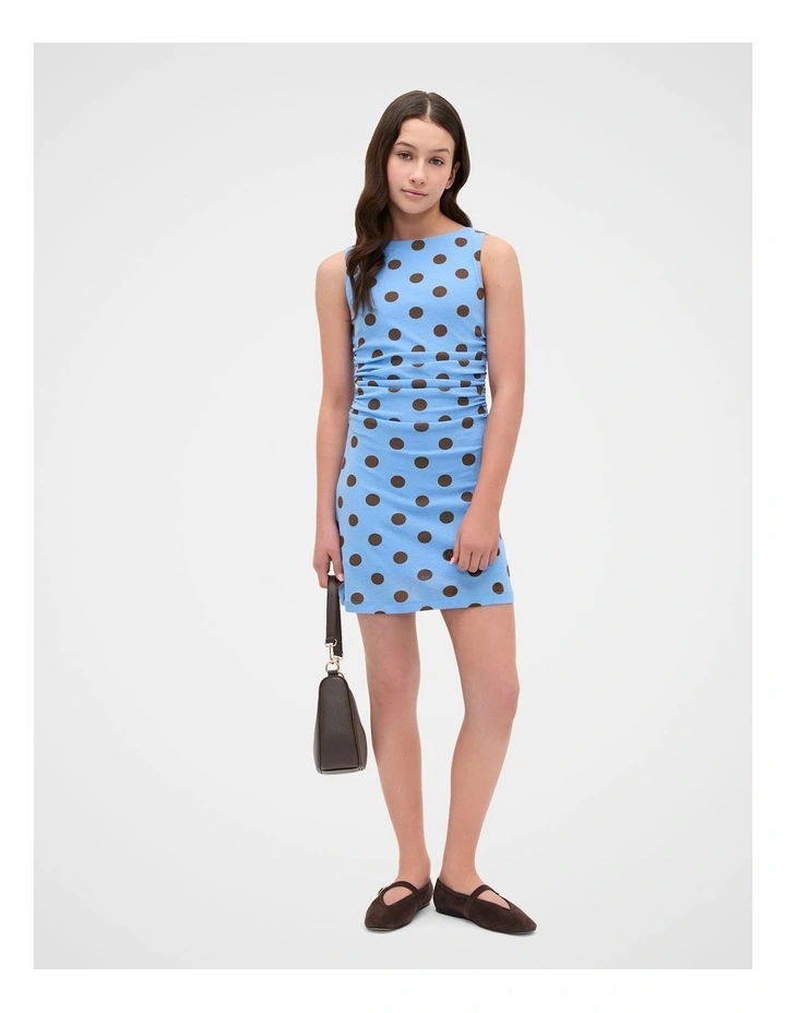 Mesh Spot Dress image 1