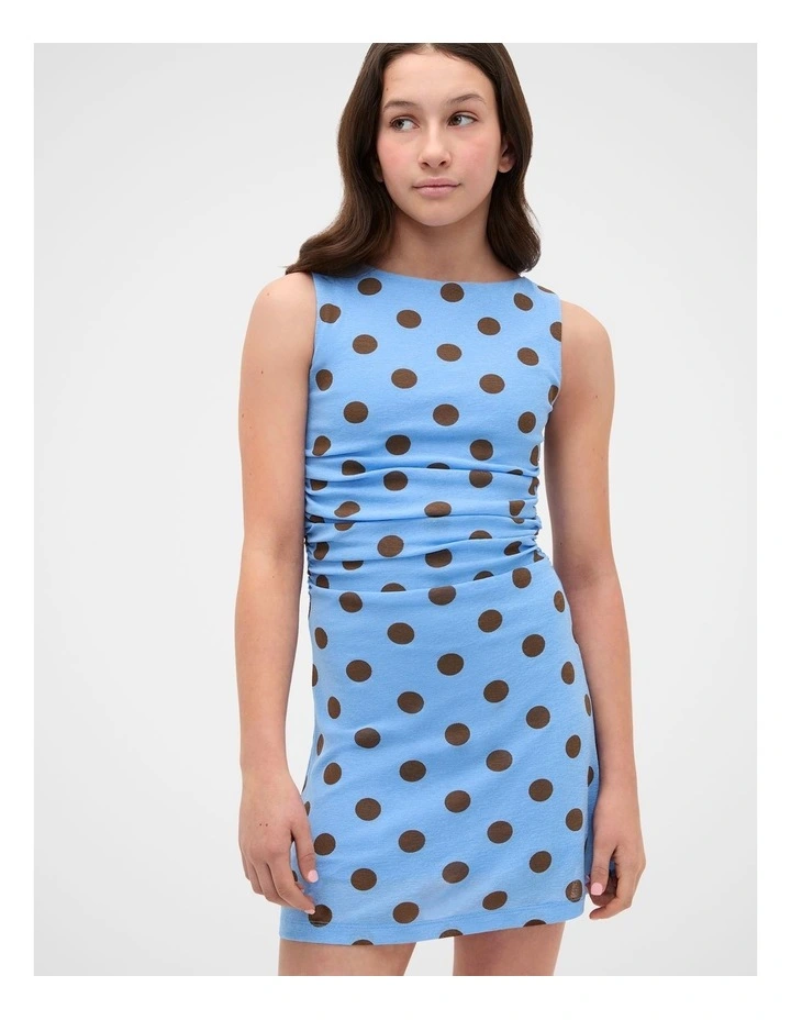 Mesh Spot Dress image 4