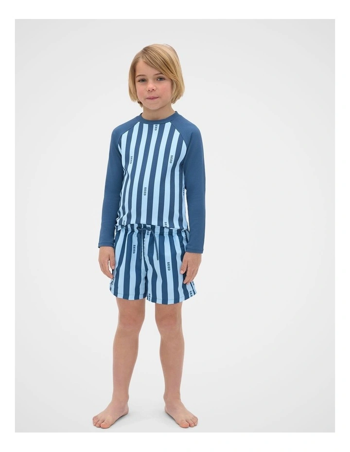 Stripe Logo Rashvest image 1