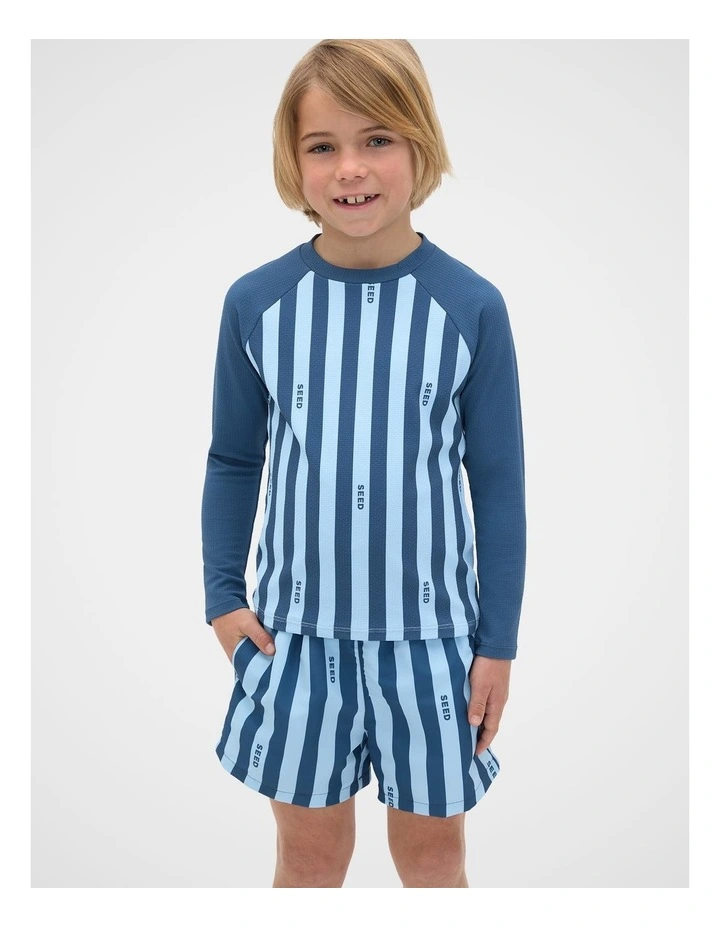 Stripe Logo Rashvest image 3
