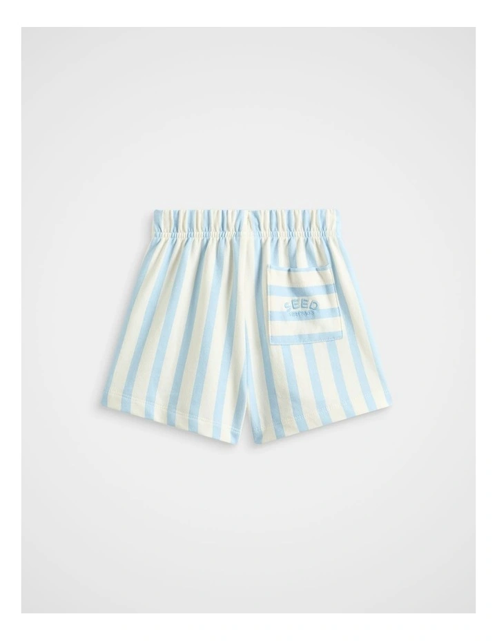 Core Stripe Track Short in Arctic image 2