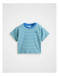Loose Fit Rib Tee in Mint Stripe