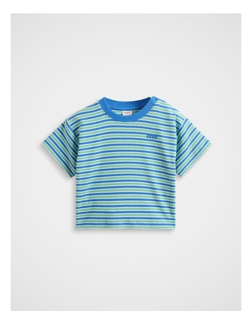 Mint Stripe colour