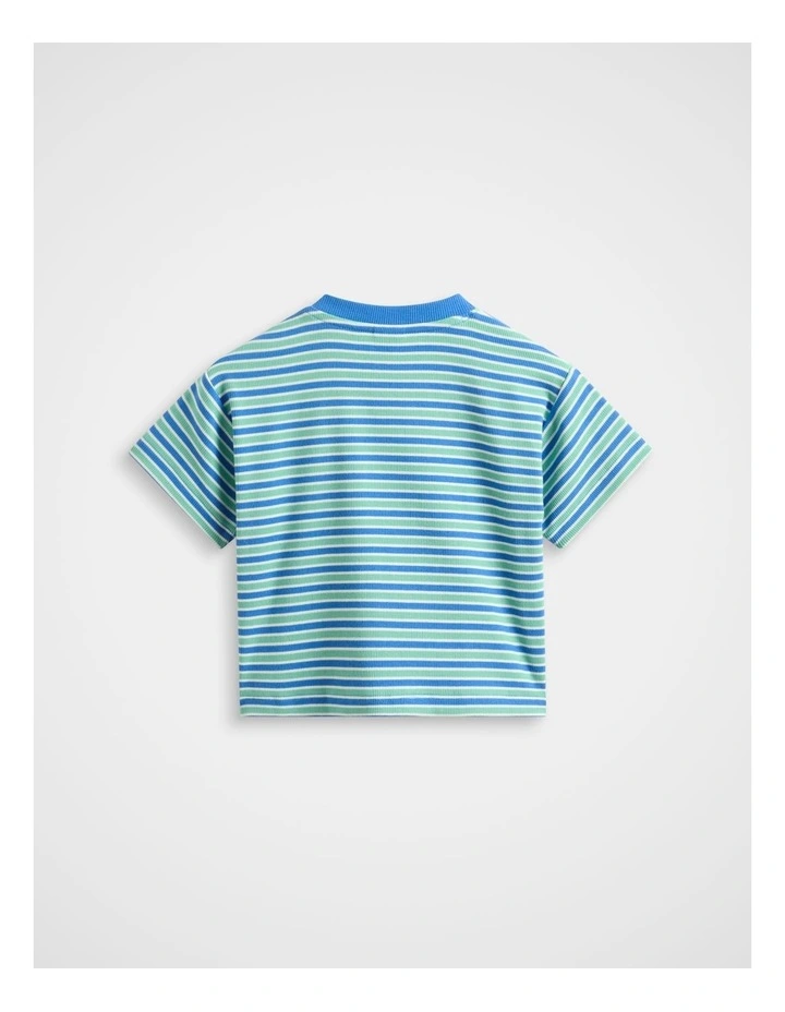 Loose Fit Rib Tee in Mint Stripe image 2