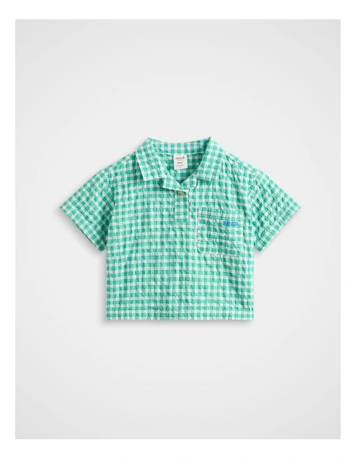 Check Shirt in Mint Check image 1
