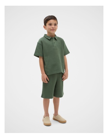 Olive colour