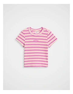 Stripe Logo Rib Tee in Berry Multi