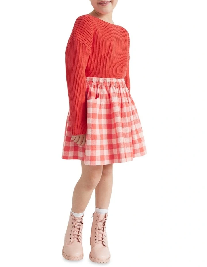 Gingham Skirt image 1