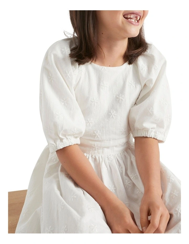 Embroidered Dress image 1