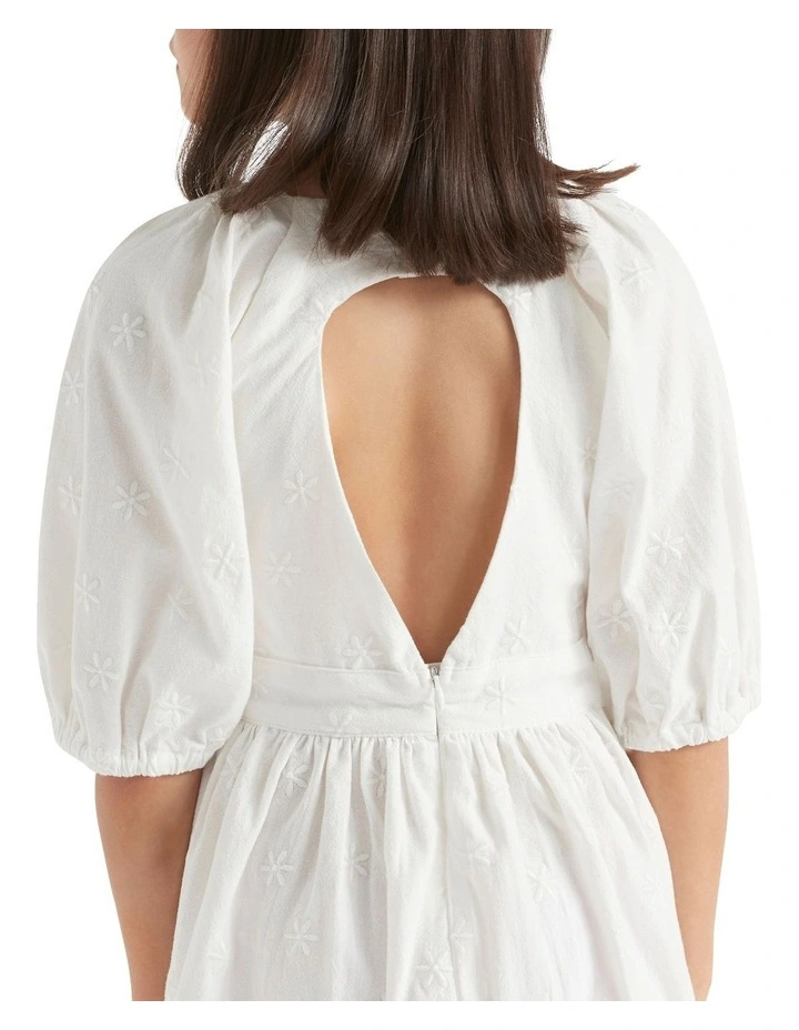 Embroidered Dress image 3