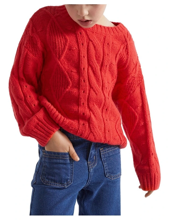 Pompom Cable Knit image 1