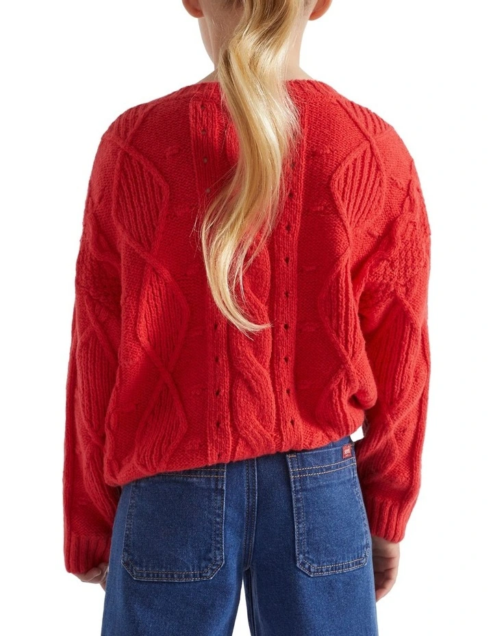 Pompom Cable Knit image 3